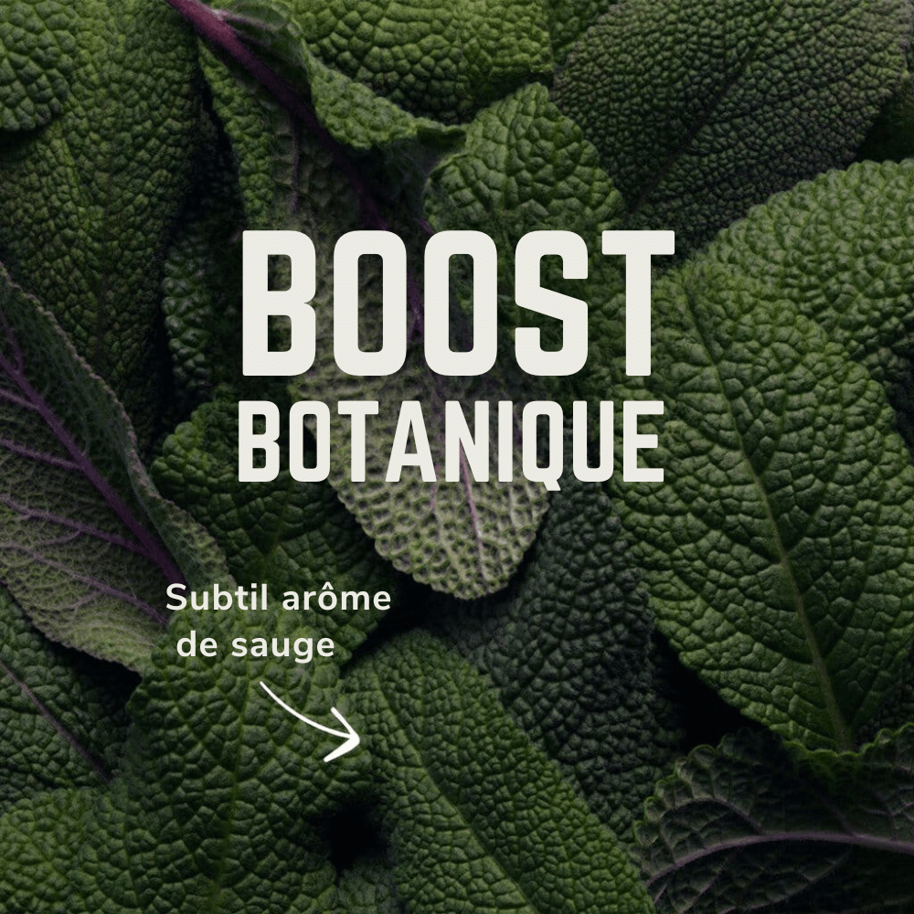 Image Electrolytes Solo | Veloforte /// Triathlon Store