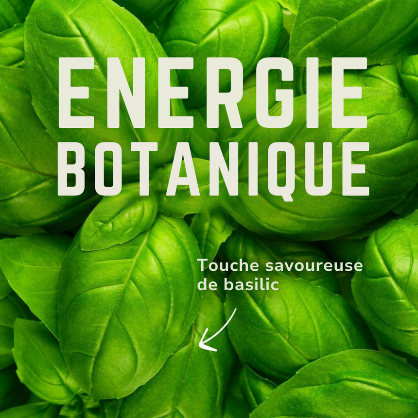 Image Electrolytes Attivo | Veloforte /// Triathlon Store