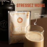 Image Proteines Molto | Veloforte /// Triathlon Store