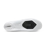 Vega carbon | Fizik